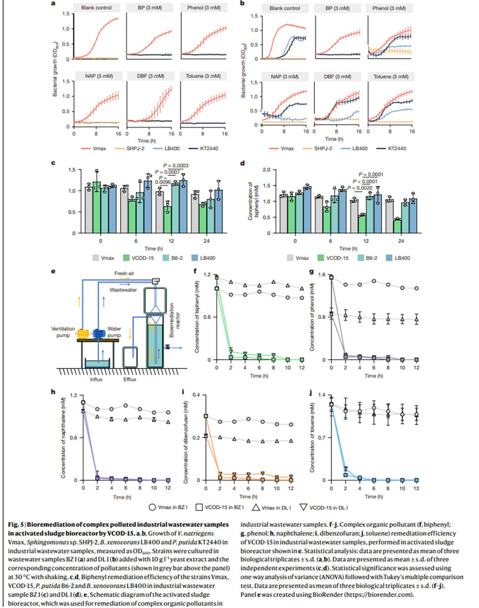 图示

AI 生成的内容可能不正确。